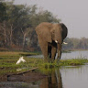 Meet your Posher, Eric